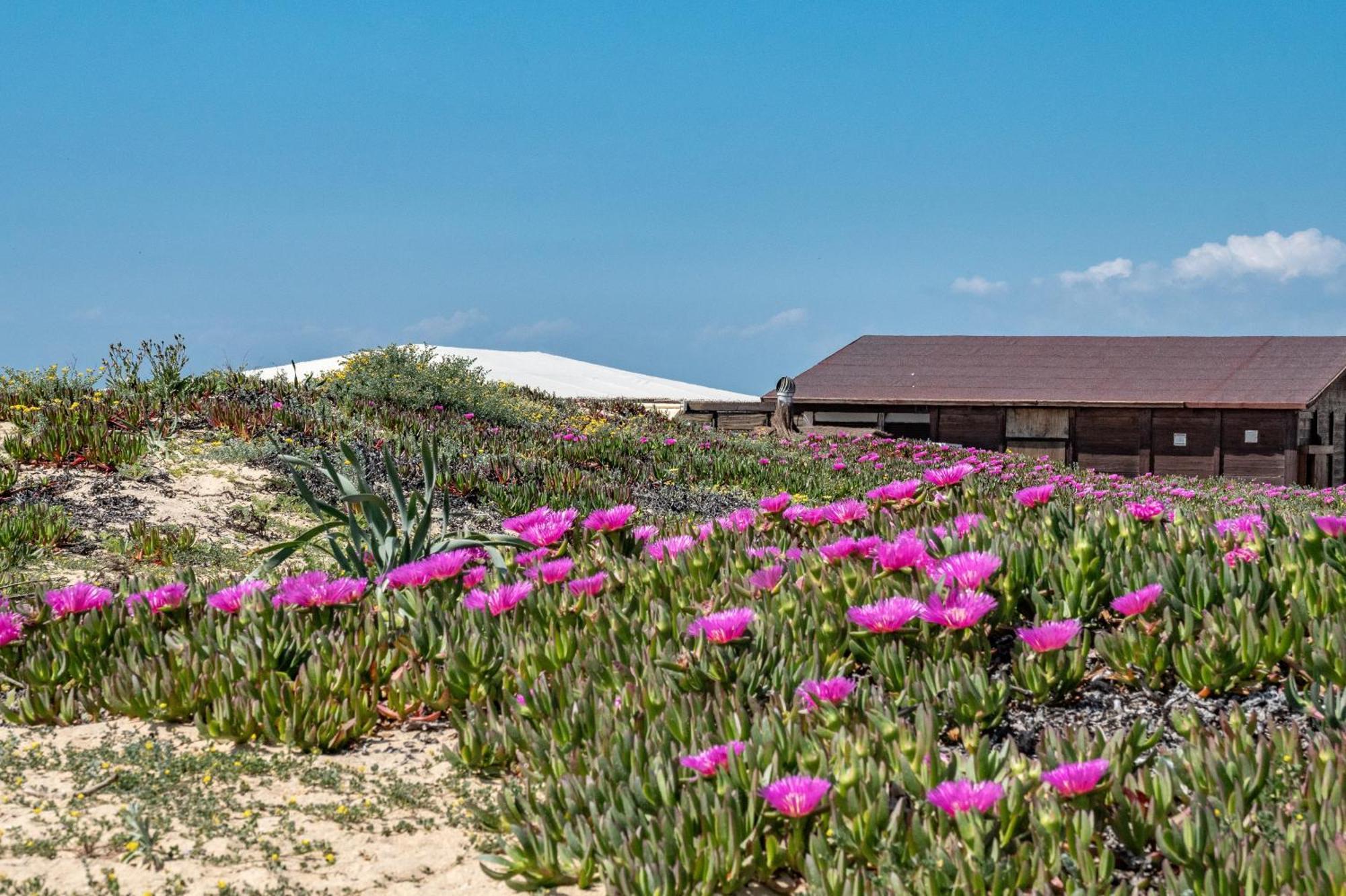 Precioso Chalet A Pie De Playa Punta Umbría المظهر الخارجي الصورة